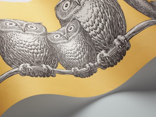 Tapeta Cole & Son - Fornasetti II - Nottambule-Border 97/5017