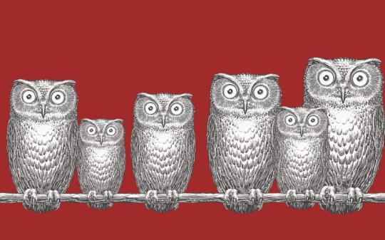 Tapeta Cole & Son - Fornasetti II - Nottambule-Border 97/5018