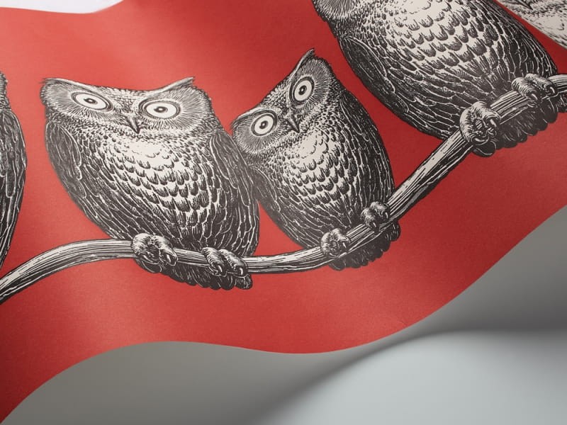 Tapeta Cole & Son - Fornasetti II - Nottambule-Border 97/5018