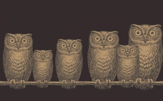 Tapeta Cole & Son - Fornasetti II - Nottambule-Border 97/5050