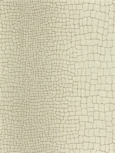 45578532ae4d9691085c03c2ed5573c8