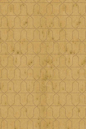 Arte 37610 Metal X Signum Domus - tapeta geometryczna na metalicznym tle
