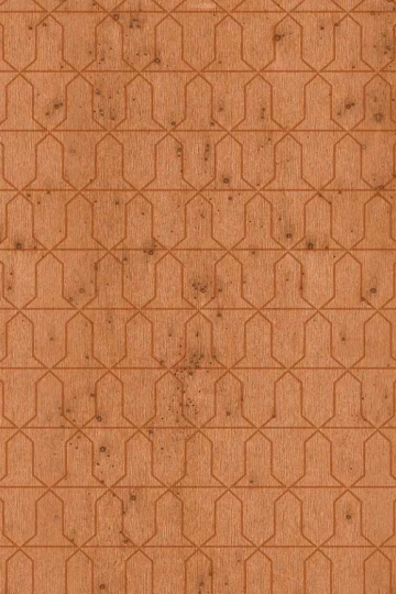 Arte 37613 Metal X Signum Domus - tapeta geometryczna na metalicznym tle