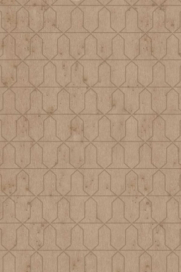 Arte 37614 Metal X Signum Domus - tapeta geometryczna na metalicznym tle