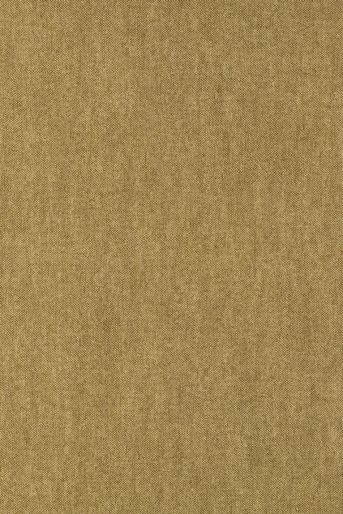 041c8a5b9a40ae84034ed9508fb8e195