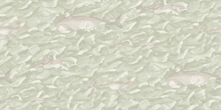 d47c5f40dd3e477b3c4c2d8a699deb20