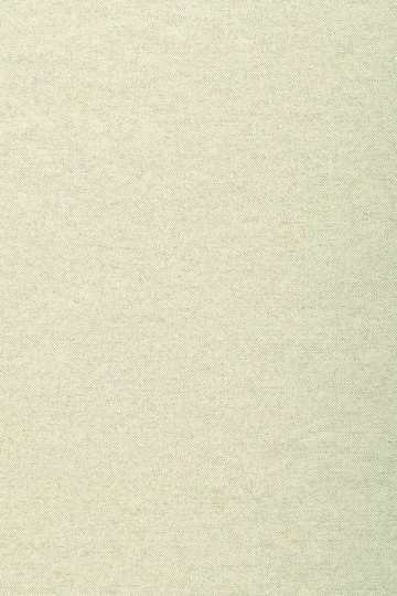 Arte 40002 Flamant Les Unis Linens Lin Ginseng - tapeta imitująca len