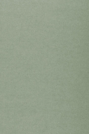 Arte 40094 Flamant Les Unis Linens Lin Absinthe - tapeta imitująca len