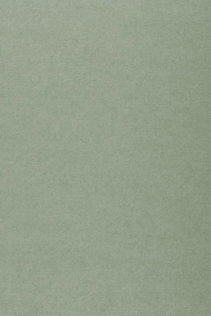 Arte 40094 Flamant Les Unis Linens Lin Absinthe - tapeta imitująca len