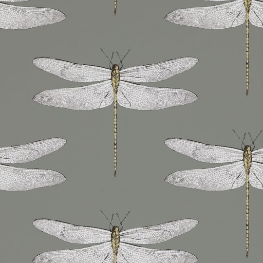 Tapeta Harlequin Palmetto 111242