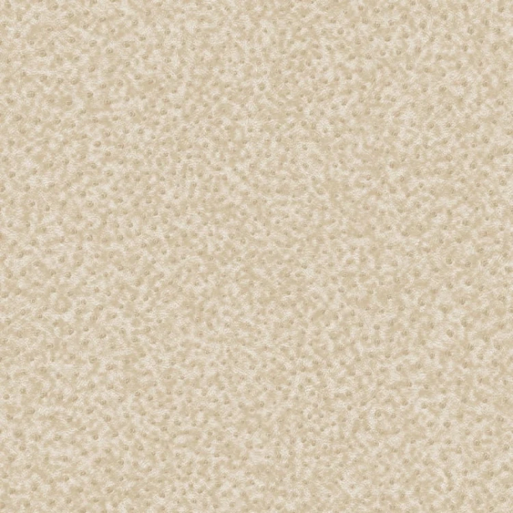 432ff4d017d15c368ccca471c786d8e8
