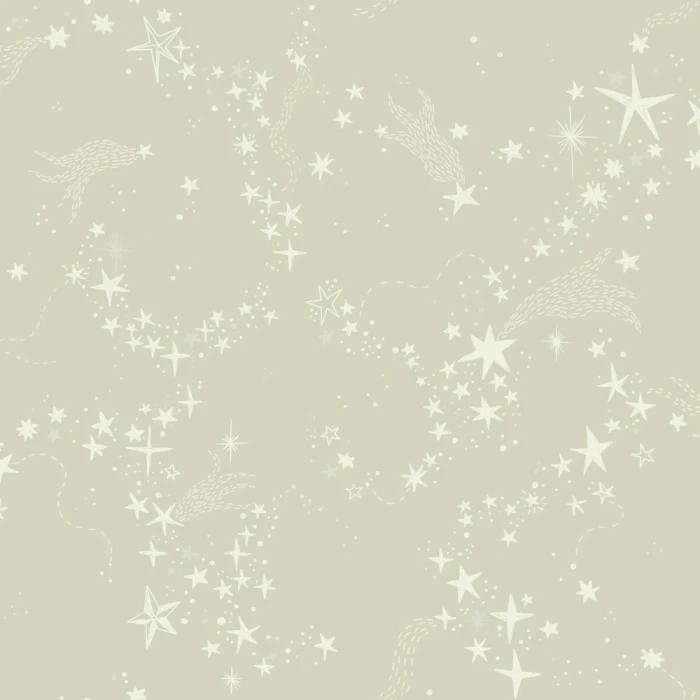 1ba5c5173a49d607de19f991cebb6b69