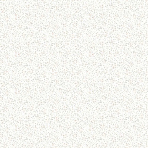 55c245b3c1c348e1e454b6a5b9205897
