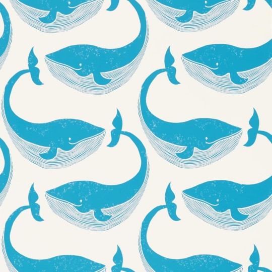 Tapeta Scion Guess Who? 111273 Whale Of A Time