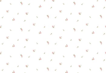 6c43925cac9717671fd3ff88560a205c