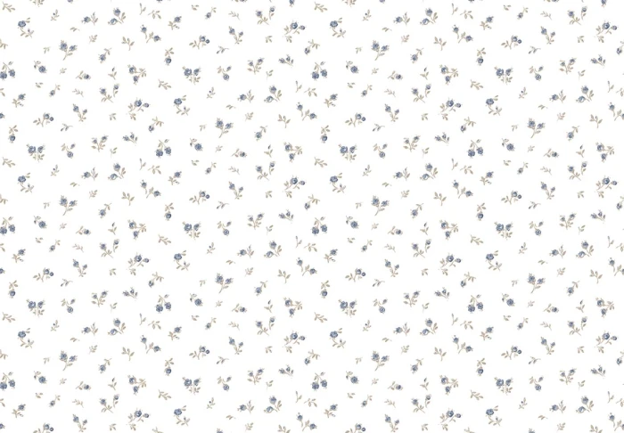 0f4fa2b2b072d14434a4094a61c0d081