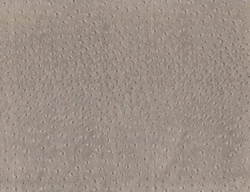 c042b98f009098e4bdbd4069a6e04fbd