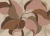 a0809f9fcc0121358d7a4d678b1d4fd4