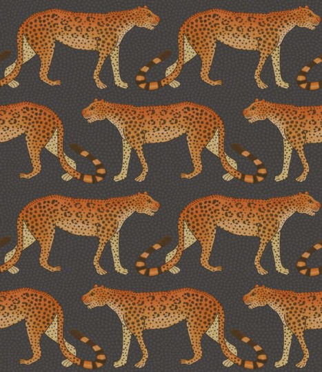 Tapeta Cole & Son Ardmore 109/2008 Leopard Walk