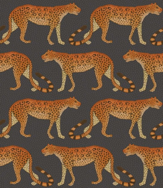 Tapeta Cole & Son Ardmore 109/2008 Leopard Walk