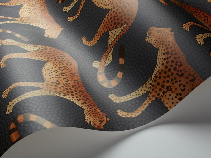 Tapeta Cole & Son Ardmore 109/2008 Leopard Walk