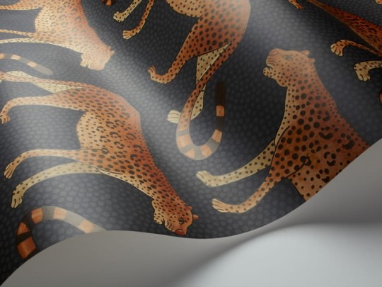 Tapeta Cole & Son Ardmore 109/2008 Leopard Walk