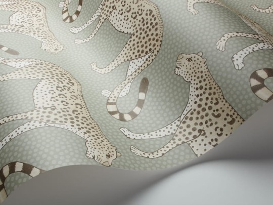 Tapeta Cole & Son Ardmore 109/2009 Leopard Walk