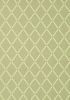 pompton-trellis-839-t-72636-green-wallpaper-chestnut-hill-thibaut.jpg