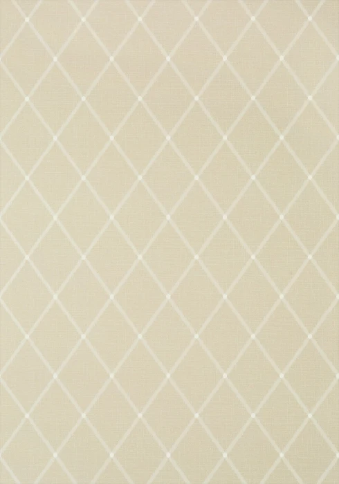 pompton-trellis-839-t-72638-taupe-wallpaper-chestnut-hill-thibaut.jpg