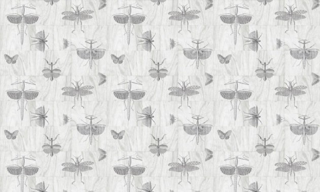 Arte Ligna 42001 Wings - tapeta w owady