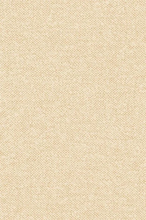 67904