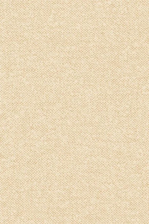 67904