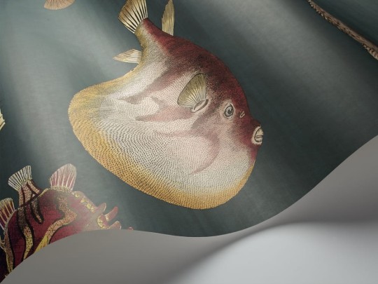 Tapeta Cole & Son Fornasetti 114/12024 Acquario