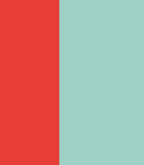 Wallcolors Pure Forms Wide Stripe Play Coral Mint - tapeta w paski