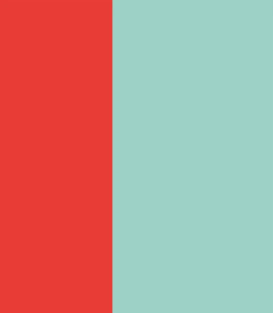 Wallcolors Pure Forms Wide Stripe Play Coral Mint - tapeta w paski