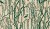 40586797e406ac1409de1ed23b0fcbc5