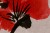 70debc2155f263b15fa7b6b5ff175645