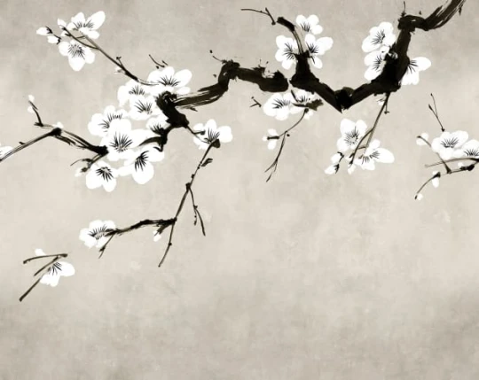 Rebel Walls R21318 Sophisticated Luxe Blush of Spring White - mural w kwitnącą gałąź