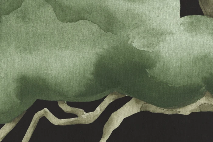 b890ed3c463b835970c3614f1d0973b5