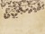 c426a282c28615af3250a9a775908ad0