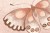 a109c40eb65572ab8d50188d090c046f