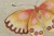 e5fcef2028ef4eb45340c2bfc6ec57d3