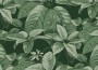 ba75b505213ae59c6cea30a9355c34d4