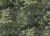 d099d39a377a0ad502ff082d19e946da