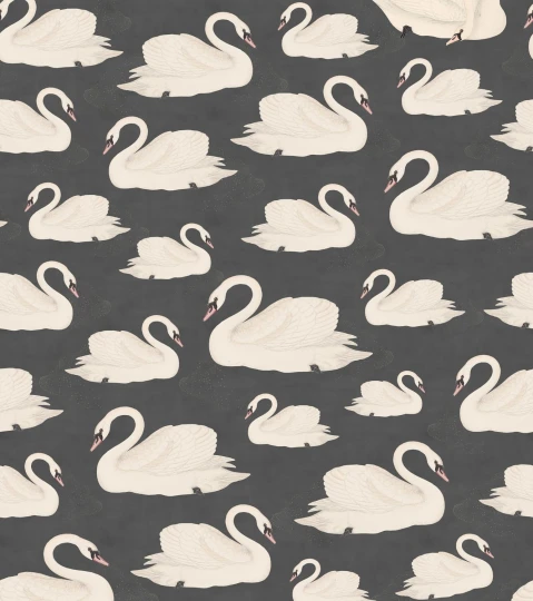 Rebel Walls R19571 Pops Whooper Swan Black - mural w łabędzie