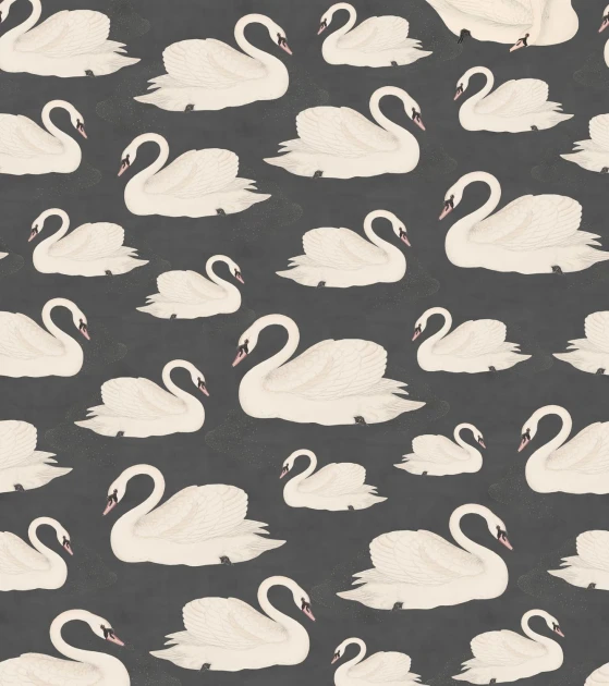 Rebel Walls R19571 Pops Whooper Swan Black - mural w łabędzie