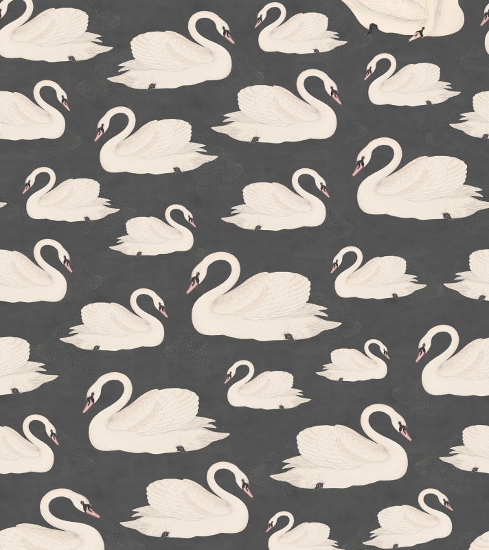 Rebel Walls R19571 Pops Whooper Swan Black - mural w łabędzie
