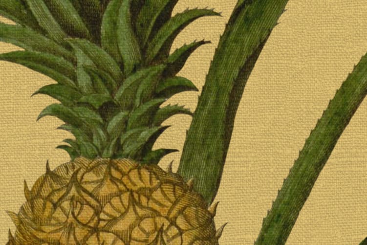 Rebel Walls R19651 Pops Pineapple Sunshine - mural w ananasy