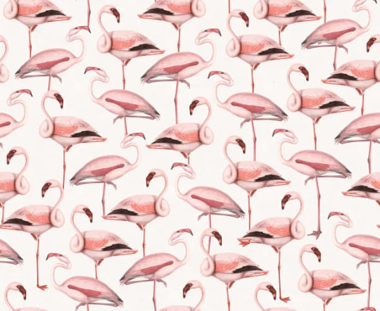 Rebel Walls R19653 Pops Flamingos Soft Pink - mural we flamingi