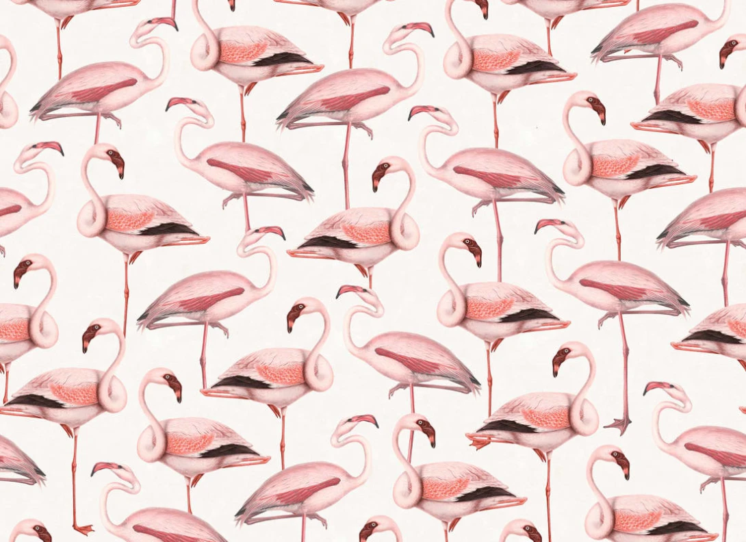 Rebel Walls R19653 Pops Flamingos Soft Pink - mural we flamingi